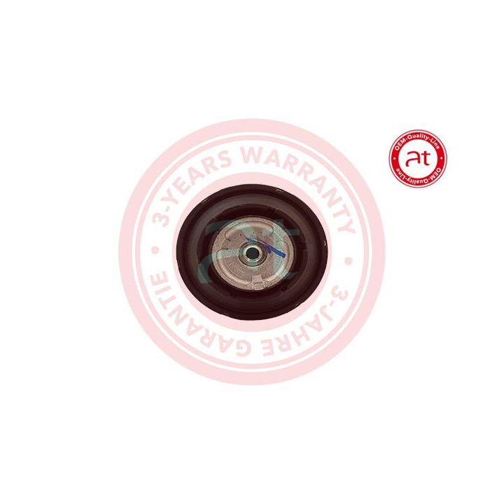 Variklio montavimas at autoteile germany at11667