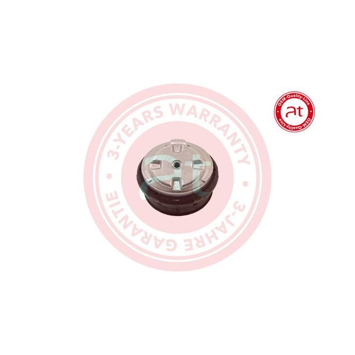 Variklio montavimas at autoteile germany at11667