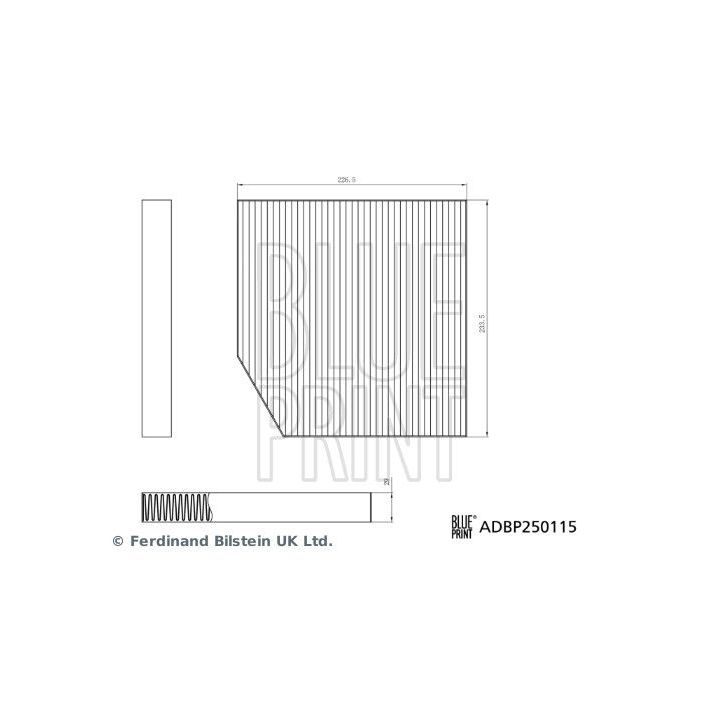 Filtras, salono oras BLUE PRINT ADBP250115