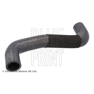 Radiatoriaus žarna BLUE PRINT ADBP930016