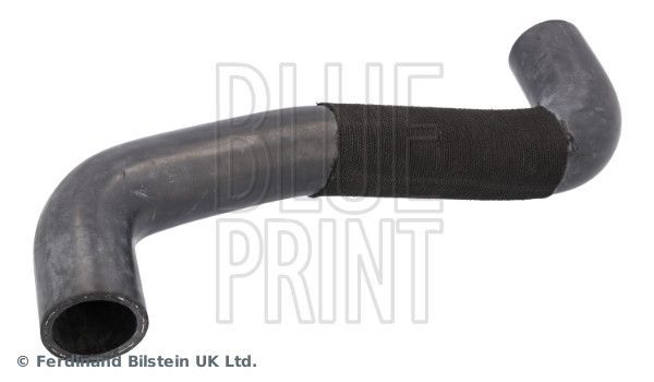 Radiatoriaus žarna BLUE PRINT ADBP930016