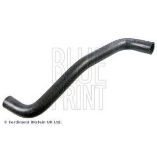 Radiatoriaus žarna BLUE PRINT ADBP930018