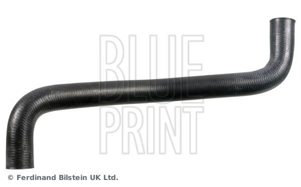 Radiatoriaus žarna BLUE PRINT ADBP930018