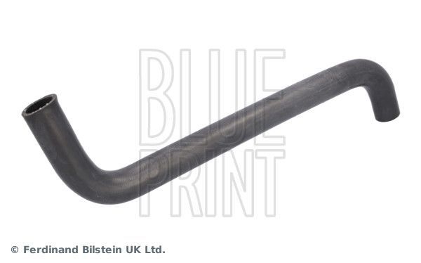 Radiatoriaus žarna BLUE PRINT ADBP930019