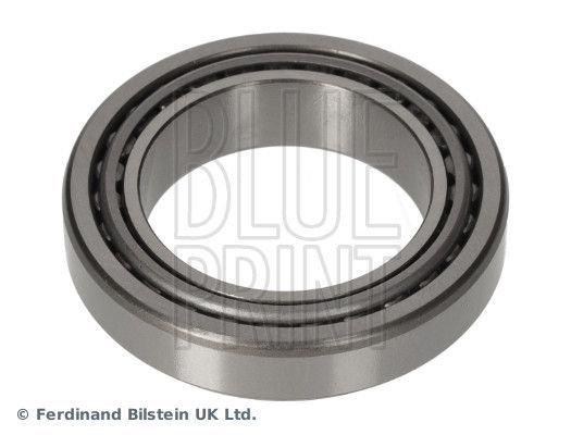 Rato guolis BLUE PRINT ADBP820088