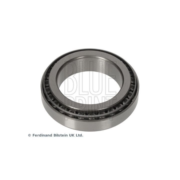 Rato guolis BLUE PRINT ADBP820088