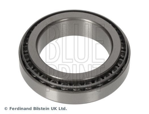 Rato guolis BLUE PRINT ADBP820088