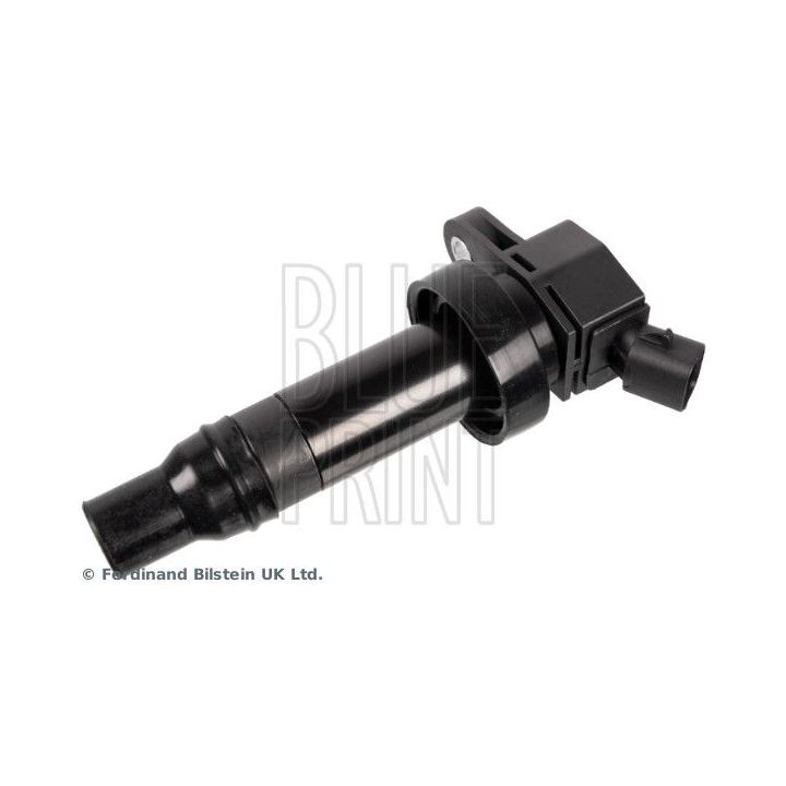 Ritė, uždegimas BLUE PRINT ADBP140006