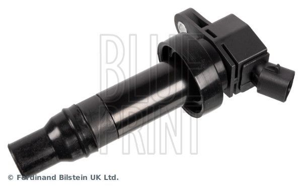 Ritė, uždegimas BLUE PRINT ADBP140006