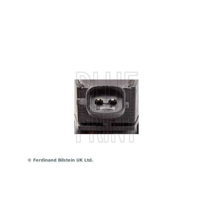 Ritė, uždegimas BLUE PRINT ADBP140006