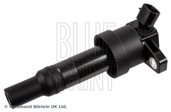 Ritė, uždegimas BLUE PRINT ADBP140035