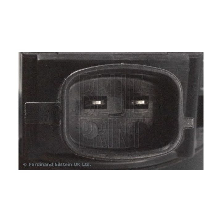 Ritė, uždegimas BLUE PRINT ADBP140035