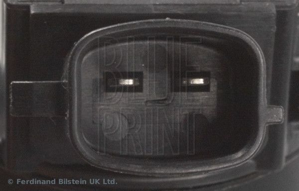 Ritė, uždegimas BLUE PRINT ADBP140035