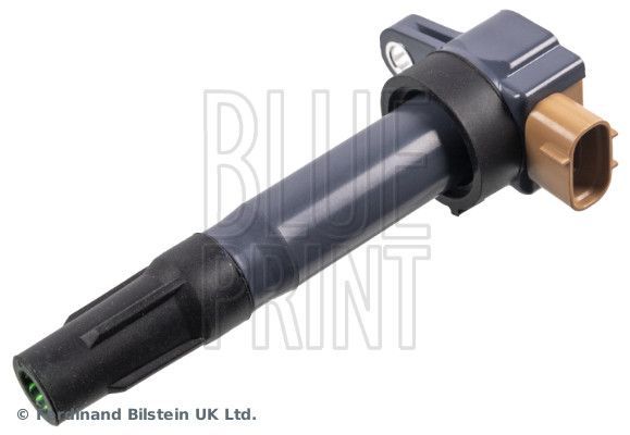 Ritė, uždegimas BLUE PRINT ADBP140053