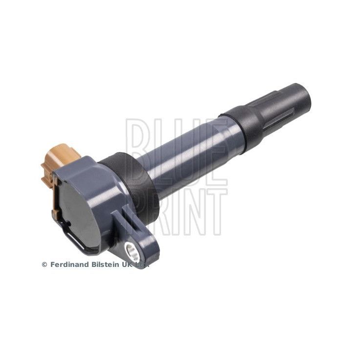 Ritė, uždegimas BLUE PRINT ADBP140053