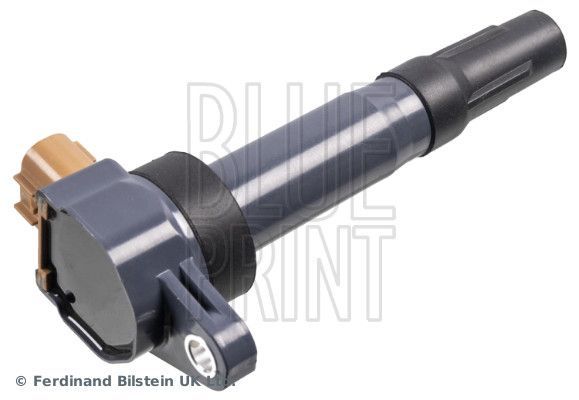 Ritė, uždegimas BLUE PRINT ADBP140053