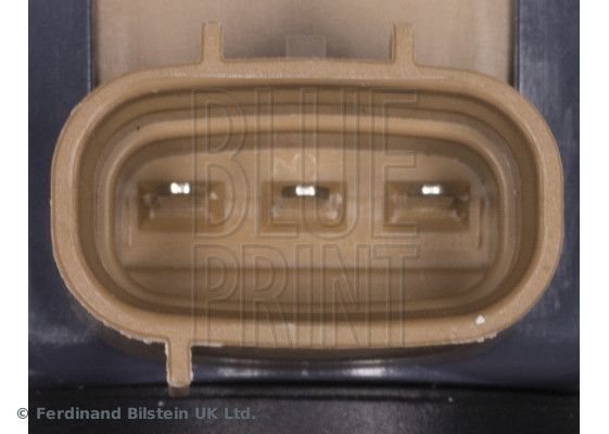 Ritė, uždegimas BLUE PRINT ADBP140053