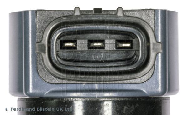 Ritė, uždegimas BLUE PRINT ADBP140058