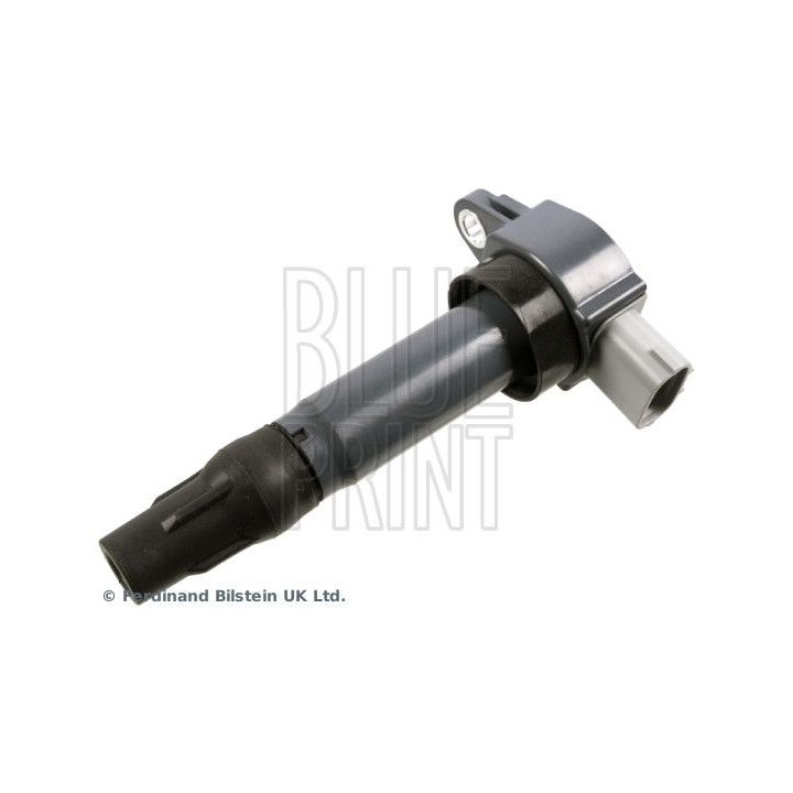 Ritė, uždegimas BLUE PRINT ADBP140059