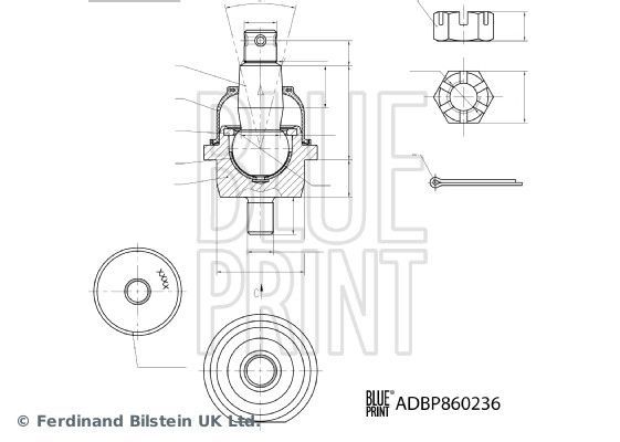 Šarnyras / girgždukas BLUE PRINT ADBP860236