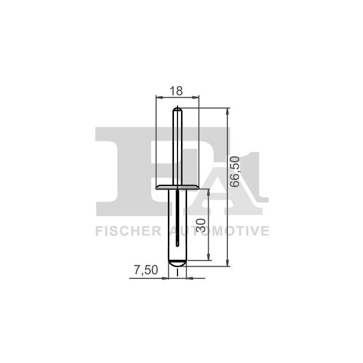 Kėbulas FA1 22-20003.25