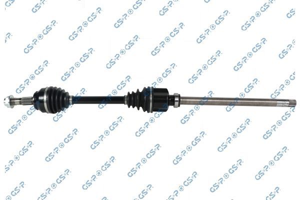 Pusašis GSP 245174OL