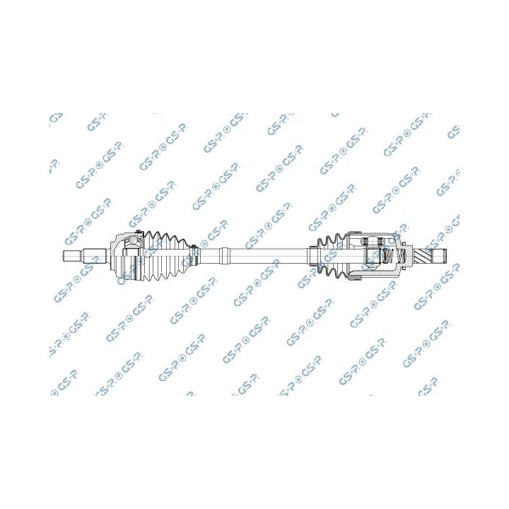 Pusašis GSP 250498OL