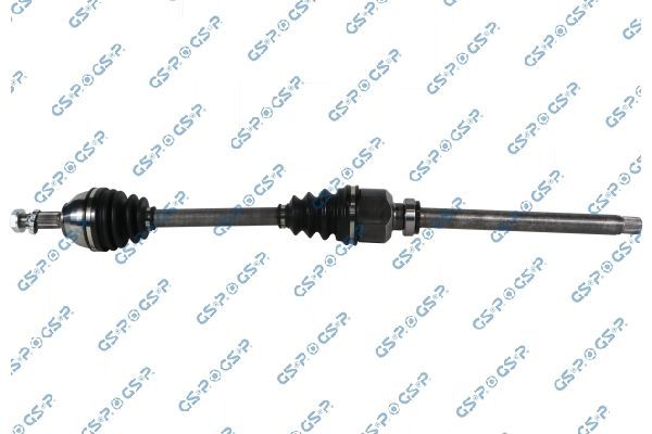 Pusašis GSP 256190