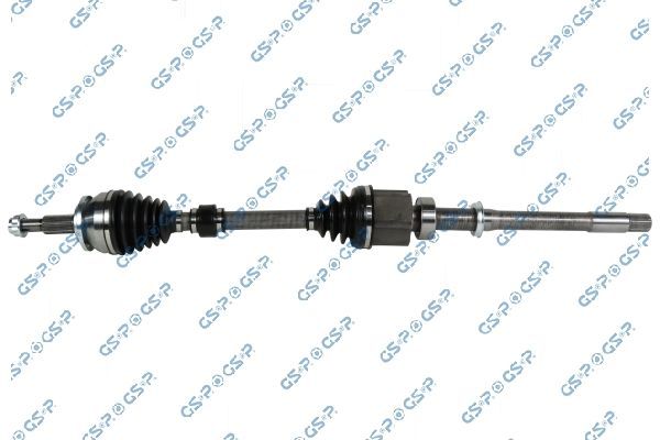 Pusašis GSP 256238