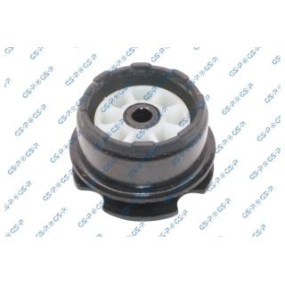 Variklio montavimas GSP 536849