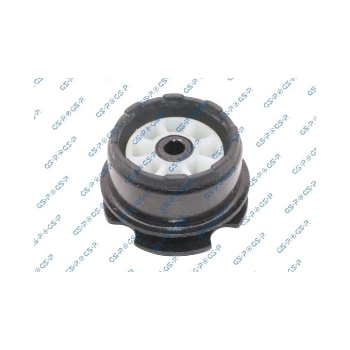 Variklio montavimas GSP 536849