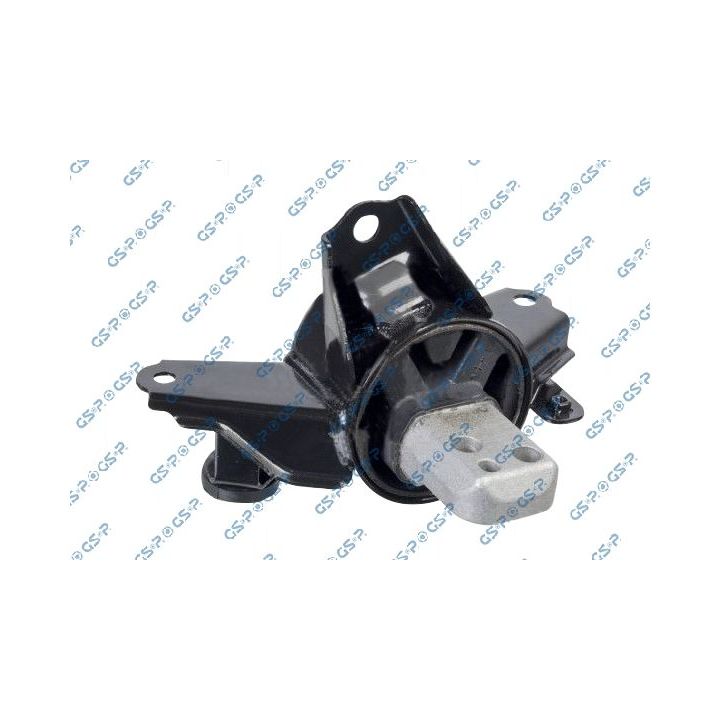 Variklio montavimas GSP 538206