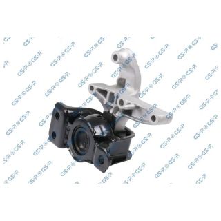 Variklio montavimas GSP 538290