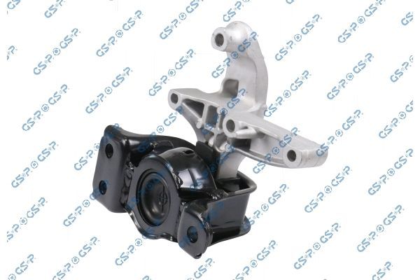 Variklio montavimas GSP 538290