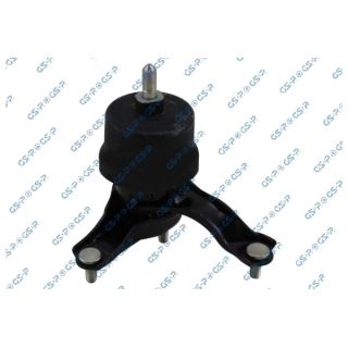 Variklio montavimas GSP 538325