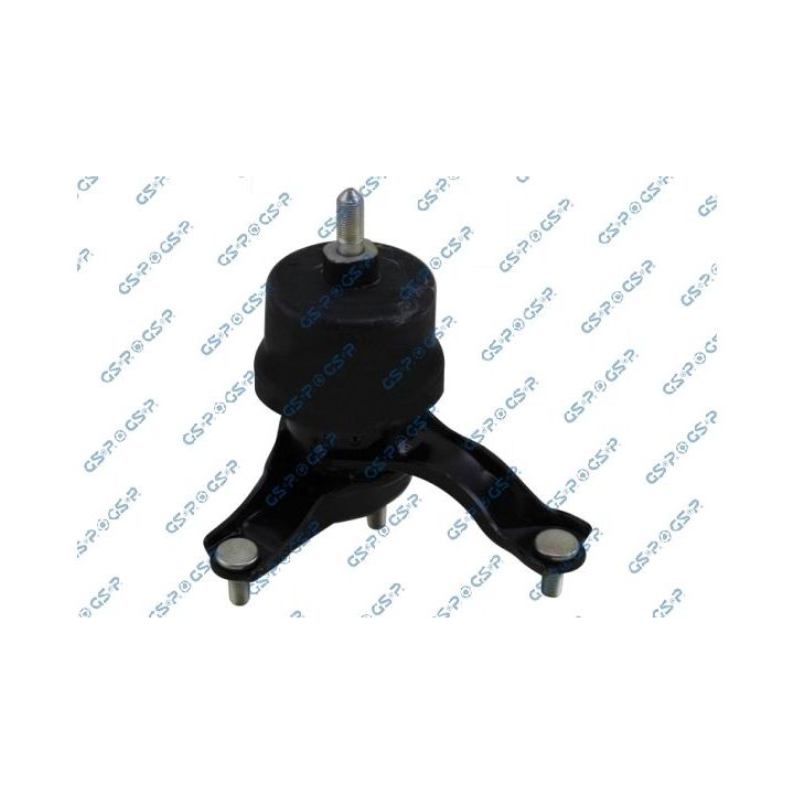 Variklio montavimas GSP 538325