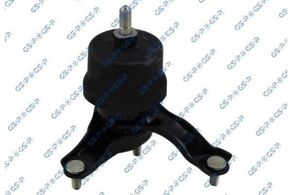 Variklio montavimas GSP 538325