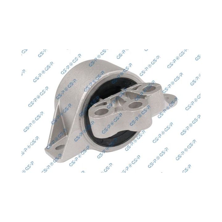 Variklio montavimas GSP 538379
