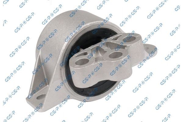 Variklio montavimas GSP 538379