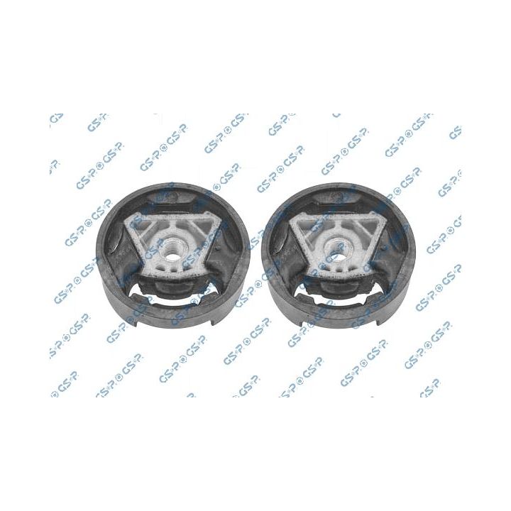 Variklio montavimas GSP 538471