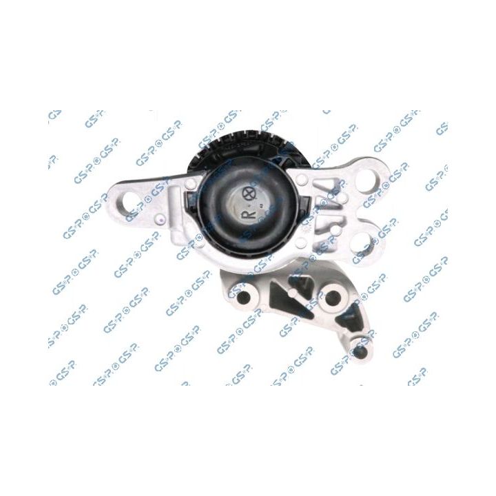 Variklio montavimas GSP 538498