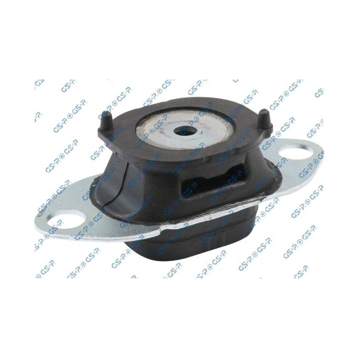 Variklio montavimas GSP 539118