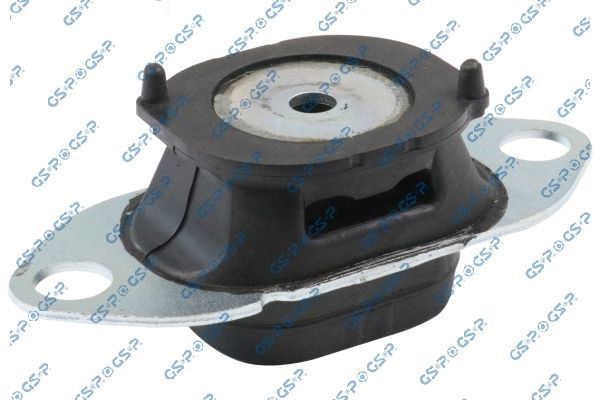 Variklio montavimas GSP 539118