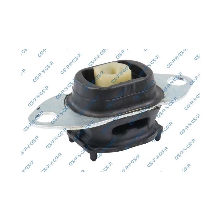 Variklio montavimas GSP 539119