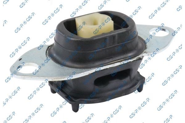 Variklio montavimas GSP 539119