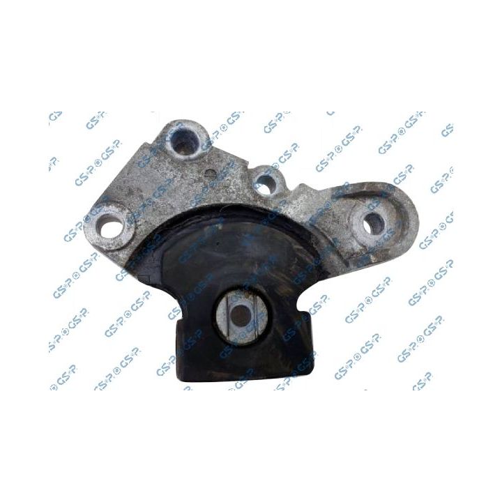 Variklio montavimas GSP 539121