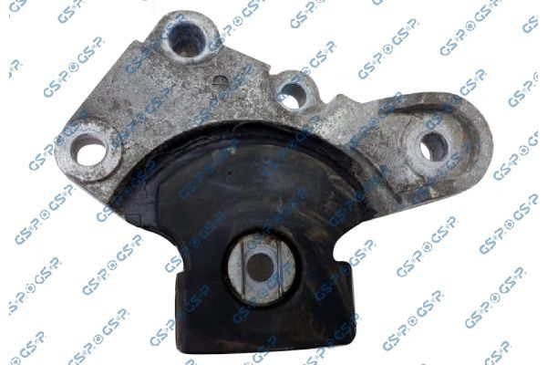 Variklio montavimas GSP 539121