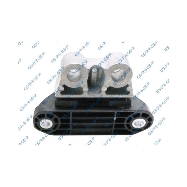 Variklio montavimas GSP 539125