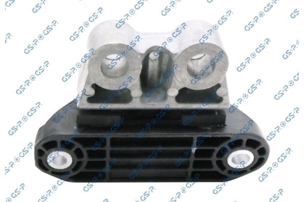 Variklio montavimas GSP 539125