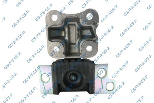 Variklio montavimas GSP 539132